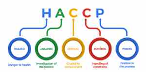 همه آنچه درباره HACCP باید بدانید + اصول هفت گانه ایمنی مواد غذایی